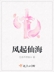 风起仙海
