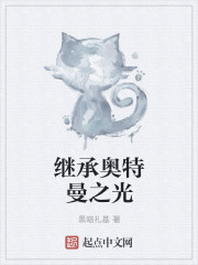 继承奥特曼之光
