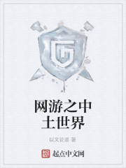 网游之中土世界