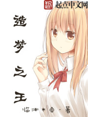 造梦之王