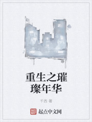 重生之璀璨年华