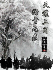 天道三国，踏雪无痕