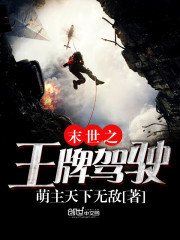 末世之王牌驾驶