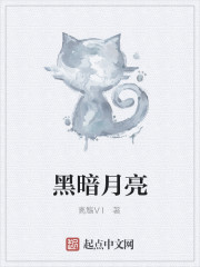 黑暗月亮