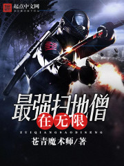 最强扫地僧在无限