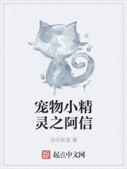宠物小精灵之阿信