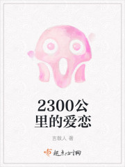 2300公里的爱恋