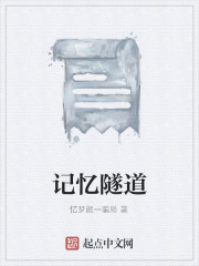 记忆隧道