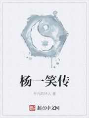 杨一笑传