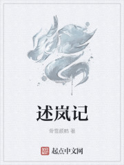 述岚记
