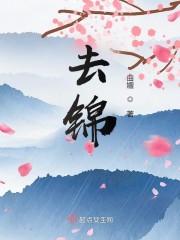 去锦