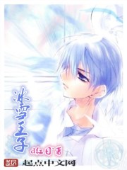 冰雪王子