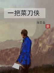 一把菜刀侠