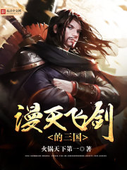 漫天飞剑的三国