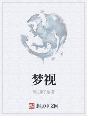 梦视