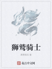 狮鹫骑士