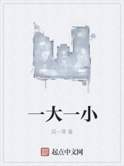 一大一小