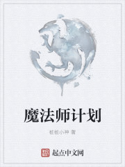 魔法师计划