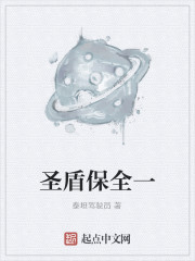 圣盾保全