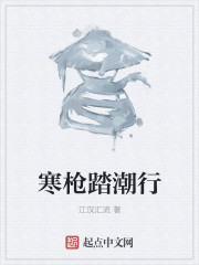 寒枪踏潮行