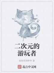 二次元的游玩者