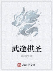 武逢棋圣