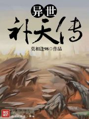 异世补天传