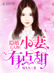 隐婚大人物：小妻有点甜