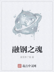 重生之星空大时代