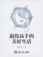 退役高手的美好生活