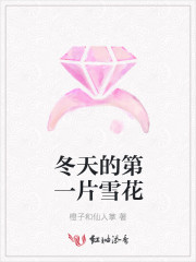 冬天的第一片雪花