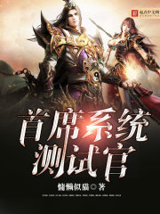 首席系统测试官