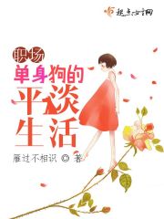 职场单身狗的平淡生活