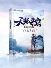 天狐争霸
