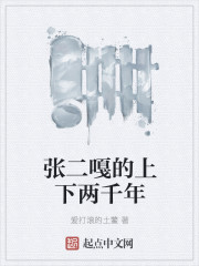 张二嘎的上下两千年