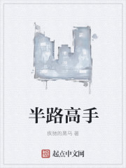 半路高手