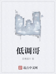低调哥