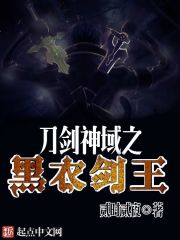 刀剑神域之黑衣剑王