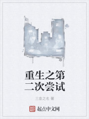 重生之第二次尝试