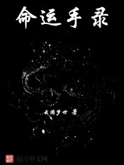 命运手录