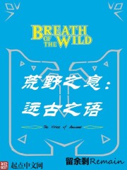 荒野之息：远古之语