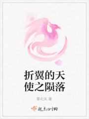 折翼的天使之陨落