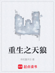 重生之天狼