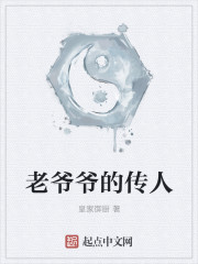 老爷爷的传人