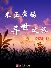 不正常的异世之旅