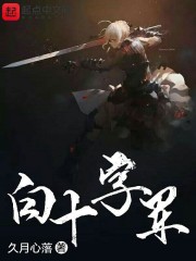 白十字军