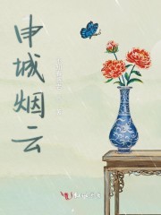 半生缘：少帅的前妻