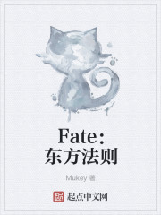 Fate：东方法则