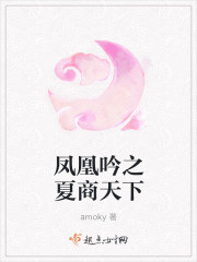 凤凰吟：夏商天下