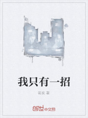 我只有一招